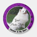 Recherche de forever ronds magnets Gardien