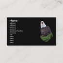 Recherche de aigles cartes visite Animal
