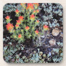 Recherche de california dessous de verres Usa