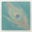 Recherche de plume paon de dessous de verres Photographie