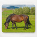 Recherche de crinière tapis souris Cheval