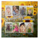 Recherche de parents carreaux Petits enfants