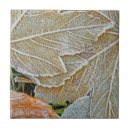 Recherche de nature 10x10 carreaux Érable
