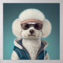Recherche de bichon posters Chien