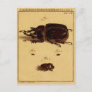 Recherche de entomologie cartes postales Illustration