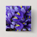 Recherche de iris bleu badges Nature