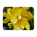 Recherche de amande magnets Fleurs