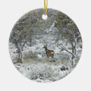 Recherche de mule photographie Cerfs communs