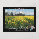 Recherche de tulipe cartes postales Moulin
