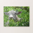 Recherche de goat puzzles Cute