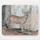 Recherche de whitetail électronique Mâle