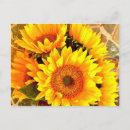 Recherche de beau tournesol cartes postales Floral