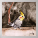 Recherche de animaux familiers posters Cockatiel