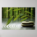 Recherche de bambou posters Paisible