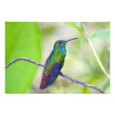 Recherche de reposant posters Vert