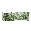 Recherche de feuille vert rubans Transparent