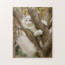 Recherche de chaton siamois puzzles Félin