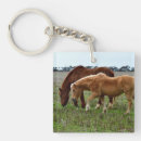 Recherche de cheval de palomino porteclés Animal