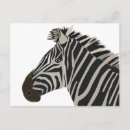 Recherche de cool zebra posters Mignon