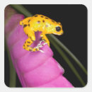 Recherche de dart autocollants Grenouille
