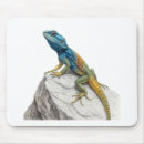 Recherche de lézards tapis souris Animal