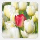 Recherche de marion autocollants Personne