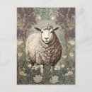 Recherche de fleurs de lavande cartes postales Vintage