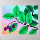 Recherche de deco blackberry posters Été