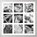 Recherche de différent art Blanc