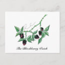 Recherche de dessin nature cartes postales Fruit