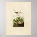 Recherche de finches posters Pointes