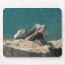 Recherche de iguane tapis souris Faune