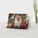 Recherche de spitz noël cartes Boule
