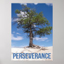 Recherche de perseverance posters Encouragement