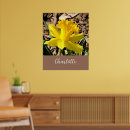 Recherche de jonquilles jaunes posters Floral