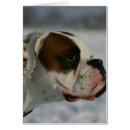 Recherche de chien boxeur cartes postales Profil