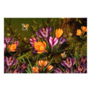 Recherche de safran posters Fleur