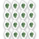 Recherche de monstera autocollants Botanique