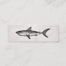 Recherche de requins mini cartes visite Océan