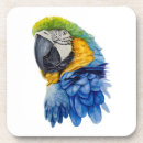 Recherche de perroquet dessous de verres Aquarelle
