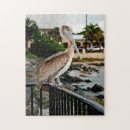 Recherche de cigognes puzzles Oiseau