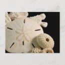 Recherche de copie de grand format posters Corail