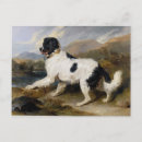 Recherche de chien de lion cartes postales Animal