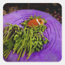 Recherche de doigts autocollants Animal