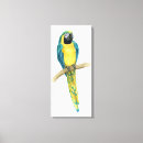 Recherche de ara art Animaux