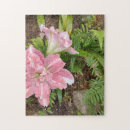 Recherche de fougère puzzles Plante