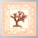 Recherche de coquille de conque posters Mer