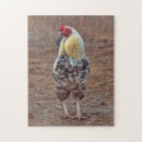 Recherche de farm puzzles Nature