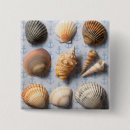 Recherche de coquillage badges Océan
