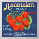 Recherche de les fraises art Nouveau
